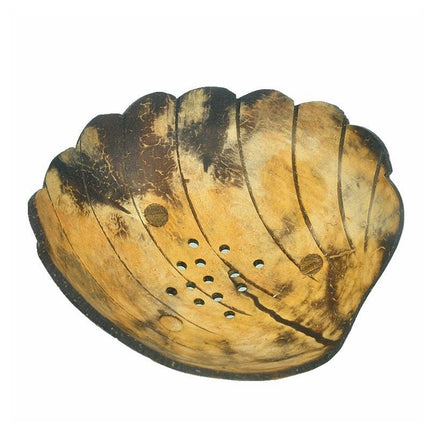 Mydelniczka z łupiny kokosa kształt muszli